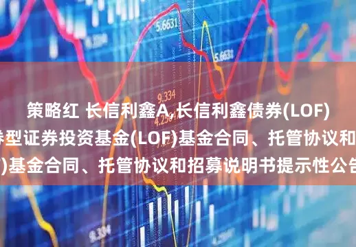 策略红 长信利鑫A,长信利鑫债券(LOF)E: 关于长信利鑫债券型证券投资基金(LOF)基金合同、托管协议和招募说明书提示性公告