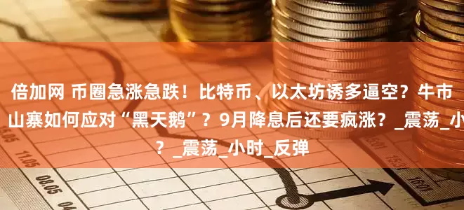 倍加网 币圈急涨急跌！比特币、以太坊诱多逼空？牛市也回调，山寨如何应对“黑天鹅”？9月降息后还要疯涨？_震荡_小时_反弹