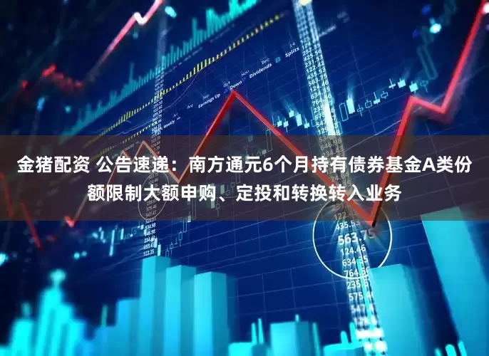 金猪配资 公告速递：南方通元6个月持有债券基金A类份额限制大额申购、定投和转换转入业务